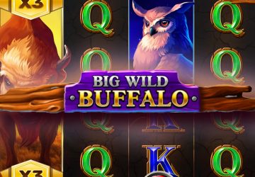Автомат Big Wild Buffalo в Вулкан Старс казино
